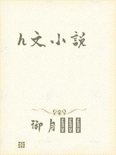 h文小说