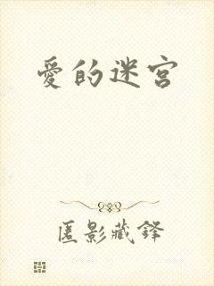 爱的迷宫