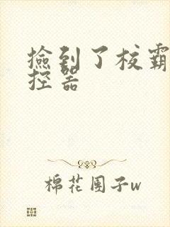 捡到了校霸的遥控器