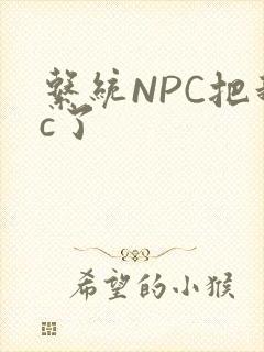 系统NPC把我c了