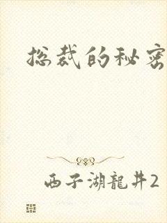 总裁的秘密情人