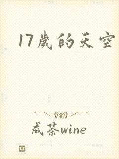 17岁的天空