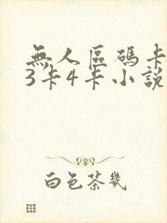 无人区码卡二卡3卡4卡小说