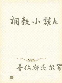 调教小说h