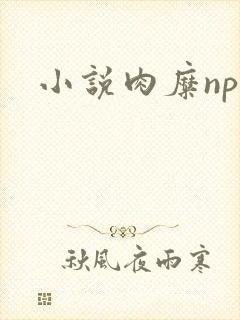 小说肉糜np