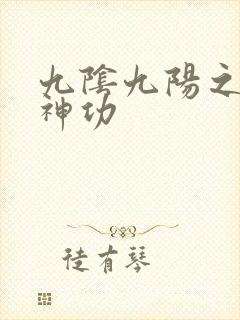 九阴九阳之阴阳神功