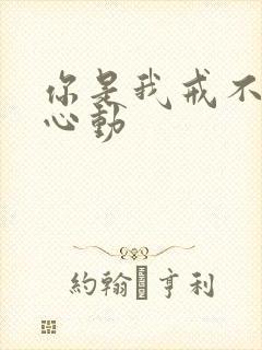 你是我戒不掉的心动