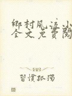 乡村风流小傻子全文免费阅读