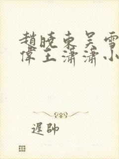 赵晓东吴雪晴郑伟王潇潇小说