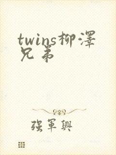 twins柳泽兄弟