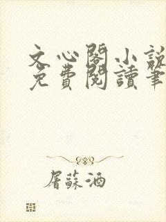 文心阁小说全文免费阅读笔趣阁