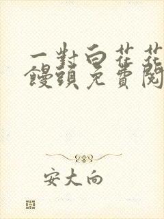 一对白花花的大馒头免费阅读