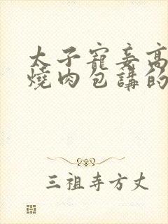 太子宠妾高肉红烧肉包讲的什么