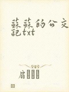 苏苏的公交车日记txt