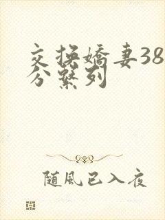 交换娇妻38部分系列