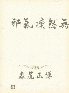 邪气凛然无弹窗