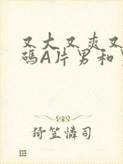 又大又爽又黄无码A片男和男