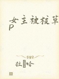 女主被校草们NP