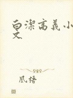 白洁高义小说全文