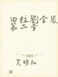 田柱刘金凤小说第二章