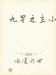 九星之主小说