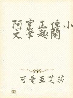 阿宾正传小说全文笔趣阁