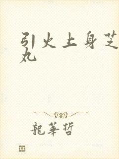 引火上身芝麻糖丸