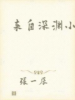 来自深渊小说