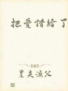 把爱错给了你