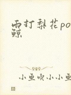 雨打梨花po问鲸