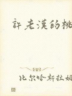 许老汉的桃花运