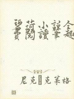 碧荷小说全文免费阅读笔趣阁