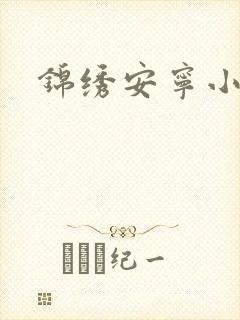 锦绣安宁小说