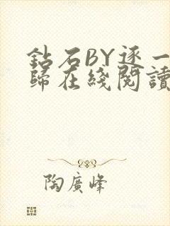 钻石BY逐一而归在线阅读