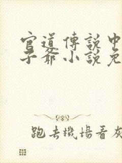 官道传说中的太子爷小说免费阅读