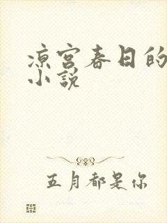 凉宫春日的忧郁小说