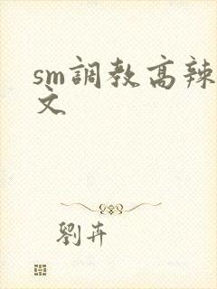sm调教高辣h文