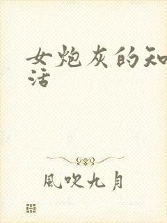 女炮灰的知青生活