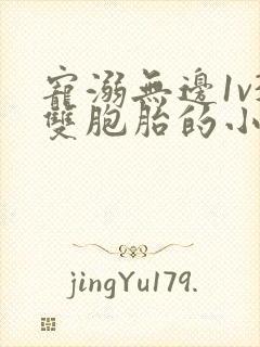 宠溺无边1v3双胞胎的小说