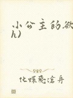 小公主的欲奴(h)