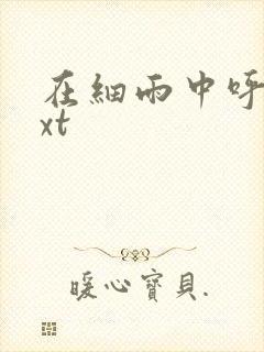 在细雨中呼喊txt