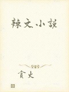 辣文小说