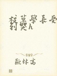 校草学长受被做到哭h