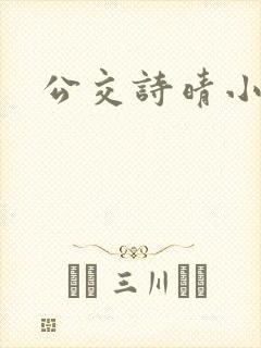 公交诗晴小说