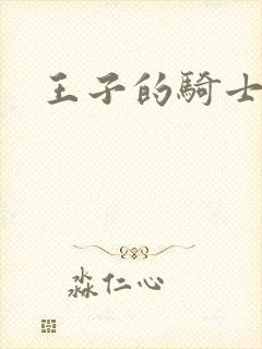王子的骑士小说
