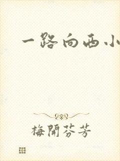 一路向西小说