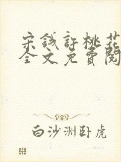 宋钱许桃花小说全文免费阅读