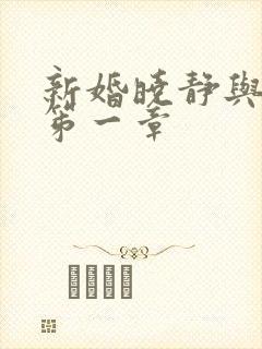 新婚晓静与翁公笫一章