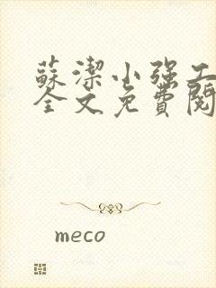 苏洁小强工地情全文免费阅读