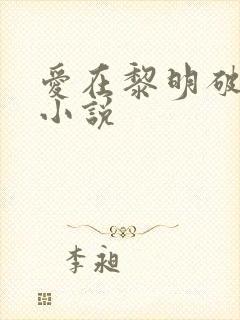 爱在黎明破晓前小说